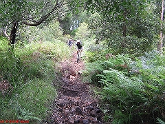 20080210-Bulli 084 